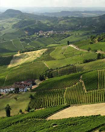 22 ottobre - Alba e il tartufo + il borgo di Neive