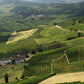 22 ottobre - Alba e il tartufo + il borgo di Neive