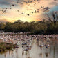 19/21 May - Provence and Camargue