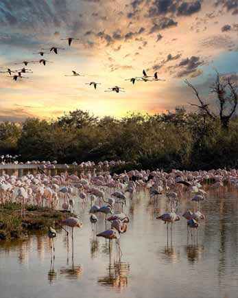 19/21 May - Provence and Camargue